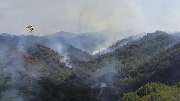 夏威夷野火摧毁了部分脆弱物种赖以生存的雨林